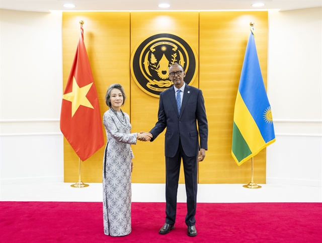Rwandan President Paul Kagame receives Vietnamese Ambassador to Tanzania and Rwanda Vu Thanh Huyen